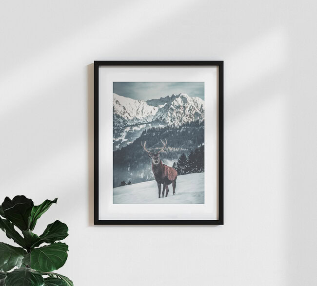 Hirsch mit Alpenkulisse, Deutschland – Fotokunst von Daniel Weissenhorn als Poster oder Acrylglasbild