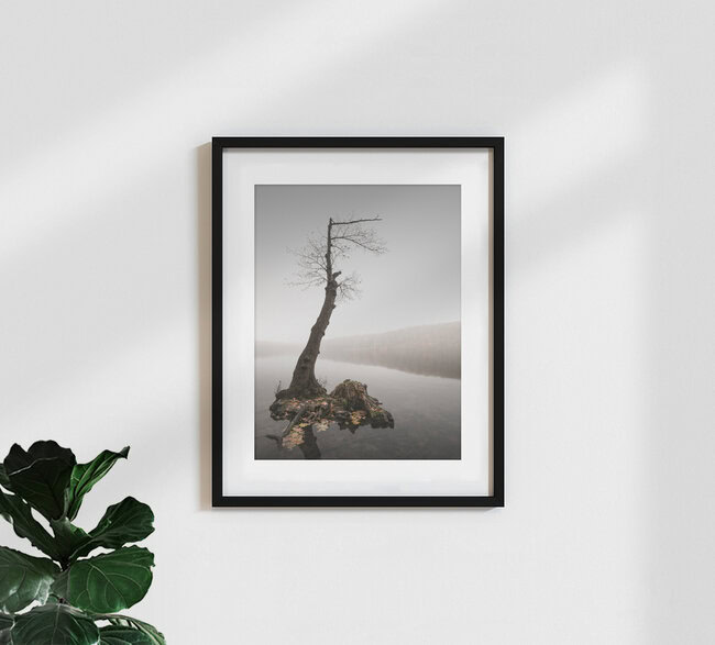 Høst, Deutschland – Fotokunst von Ronny Behnert als Poster oder Acrylglasbild