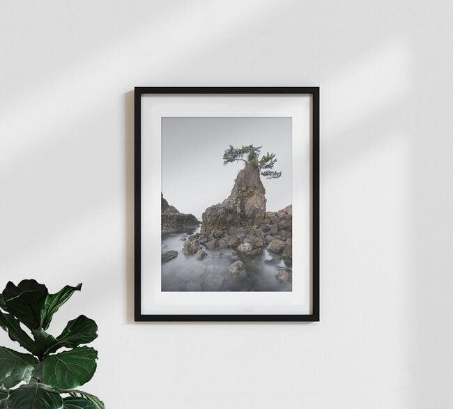 Oita Tree Japan, Japan – Fotokunst von Ronny Behnert als Poster oder Acrylglasbild
