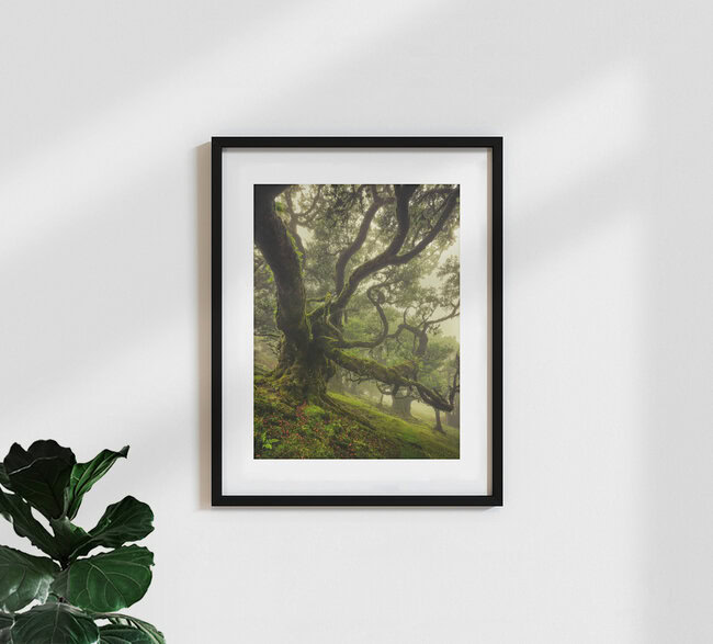 try to reach, Portugal – Fotokunst von Anke Butawitsch als Poster oder Acrylglasbild