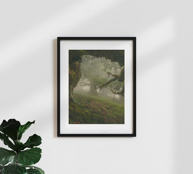 entrance to fairytale forest, Portugal – Fotokunst von Anke Butawitsch als Poster oder Acrylglasbild