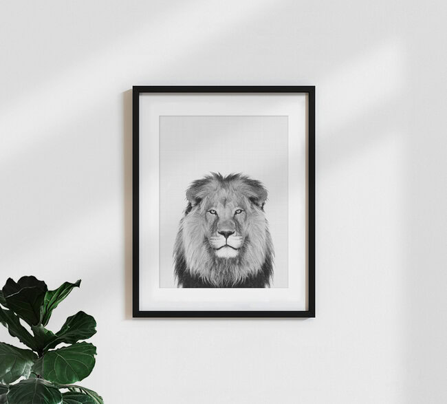 Lion (Black and White), Großbritannien – Fotokunst von Vivid Atelier als Poster oder Acrylglasbild