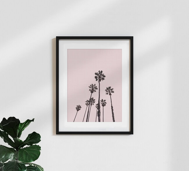 'Palm Trees in Pink' – Wall Art by Vivid Atelier as Poster or Acrylic Glass Print
