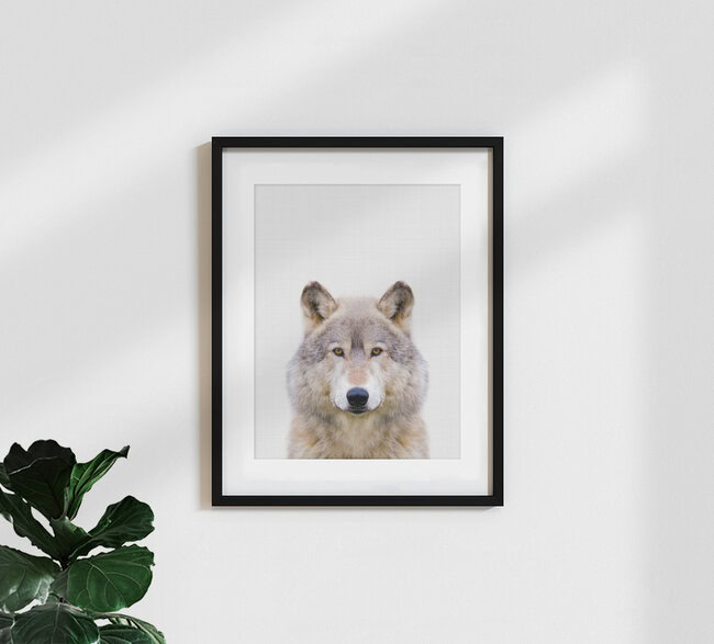 Wolf, Großbritannien – Fotokunst von Vivid Atelier als Poster oder Acrylglasbild
