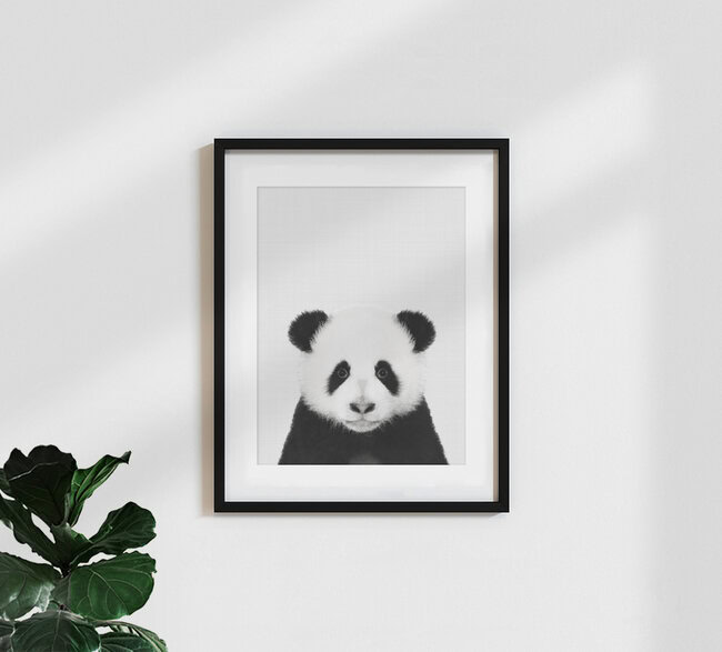 Panda (Black and White), Großbritannien – Fotokunst von Vivid Atelier als Poster oder Acrylglasbild