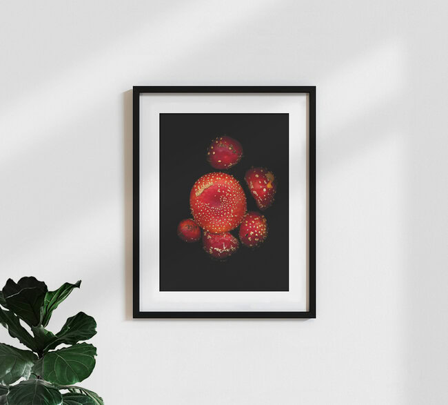 Fliegenpilze, Deutschland – Fotokunst von Ramona Reimann als Poster oder Acrylglasbild