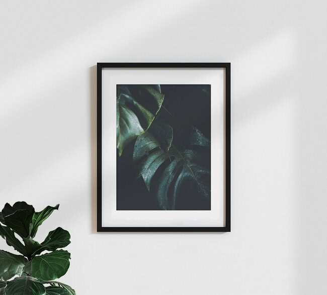 Monstera, Germany – wall art by Philipp Pablitschko as Poster or Acrylic Glass Print
