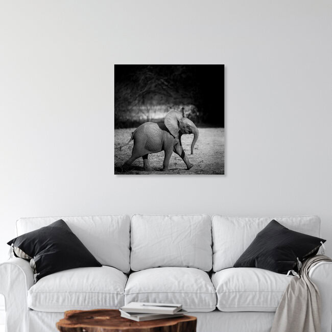 cub elephantidae, Zambia – wall art by Dennis Wehrmann as Poster or Acrylic Glass Print