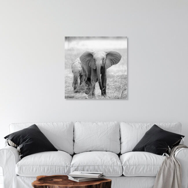 futureforelephants, Zambia – wall art by Dennis Wehrmann as Poster or Acrylic Glass Print