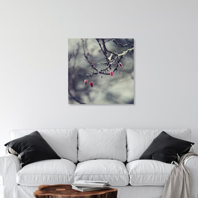 Gefrorene rote Beeren, Deutschland – Fotokunst von Nadja Jacke als Poster oder Acrylglasbild