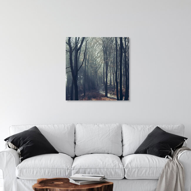 Waldweg in der Wintersonne im Teutoburger Wald, Deutschland – Fotokunst von Nadja Jacke als Poster oder Acrylglasbild