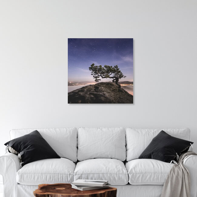 Old Pine - Study 2, Deutschland – Fotokunst von Ronny Behnert als Poster oder Acrylglasbild