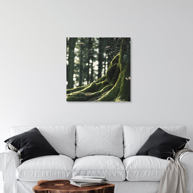 Teutoburger Wald, Deutschland – Fotokunst von Nadja Jacke als Poster oder Acrylglasbild