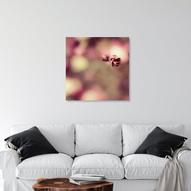 inconspicuous flowering, Germany – wall art by Ezra Portent as Poster or Acrylic Glass Print