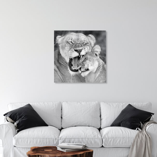Mother`s love | lions khwai concession moremi game reserve, Botswana – wall art by Dennis Wehrmann as Poster or Acrylic Glass Print