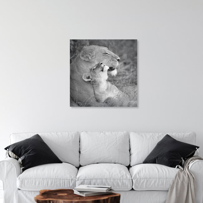 mother`s love, Botswana – wall art by Dennis Wehrmann as Poster or Acrylic Glass Print