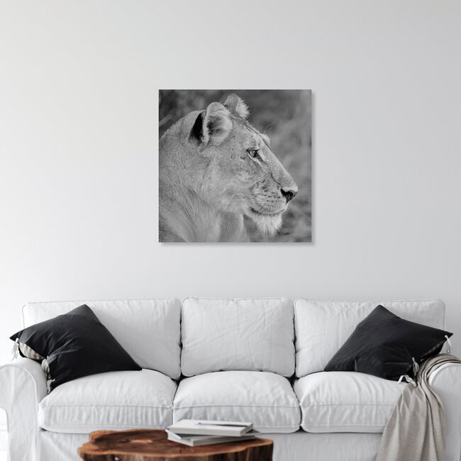 Das Profil einer Löwin, Botswana – Fotokunst von Dennis Wehrmann als Poster oder Acrylglasbild