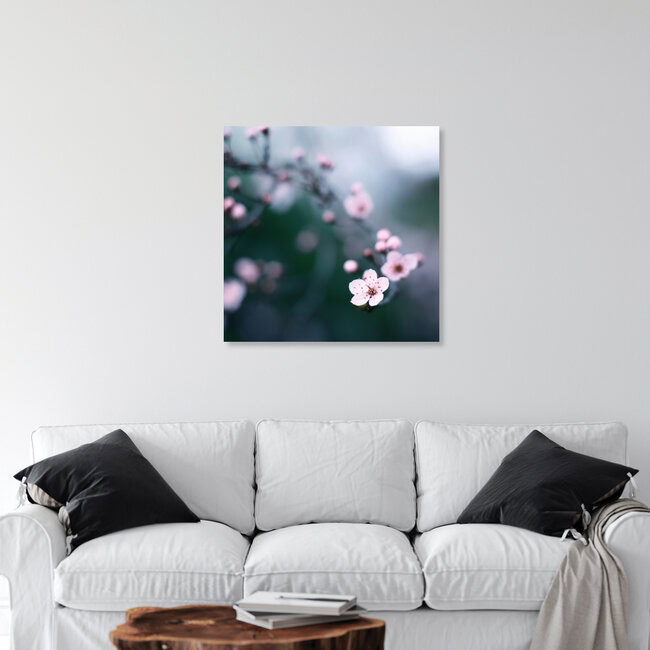 cherry blossom moments II, Deutschland – Fotokunst von Steffi Louis als Poster oder Acrylglasbild