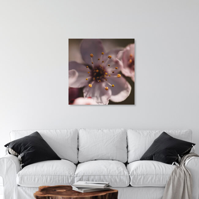 Kirschblüten Makro, Deutschland – Fotokunst von Nadja Jacke als Poster oder Acrylglasbild