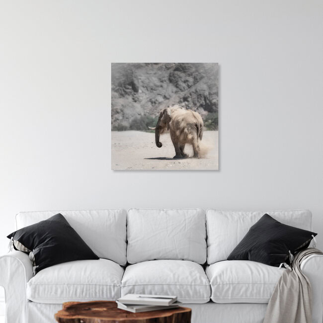 Desert elephant Hoanib riverbed Namibia, Namibia – wall art by Dennis Wehrmann as Poster or Acrylic Glass Print