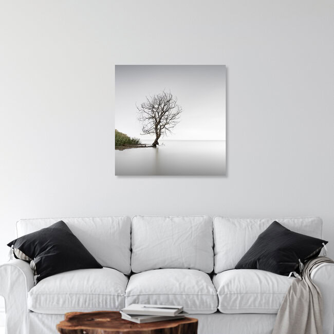 Trasimeno Tree | Umbrien, Italien – Fotokunst von Ronny Behnert als Poster oder Acrylglasbild