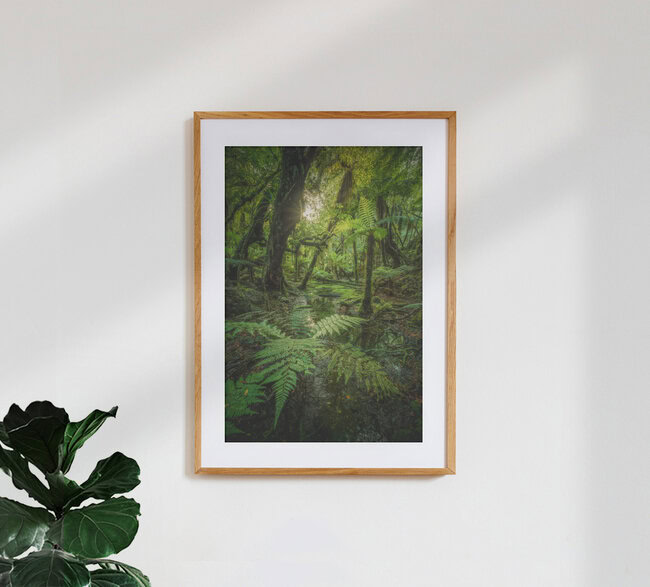 Neuseeland Urwald am Fox Glacier, Neuseeland – Fotokunst von Jean Claude Castor als Poster oder Acrylglasbild
