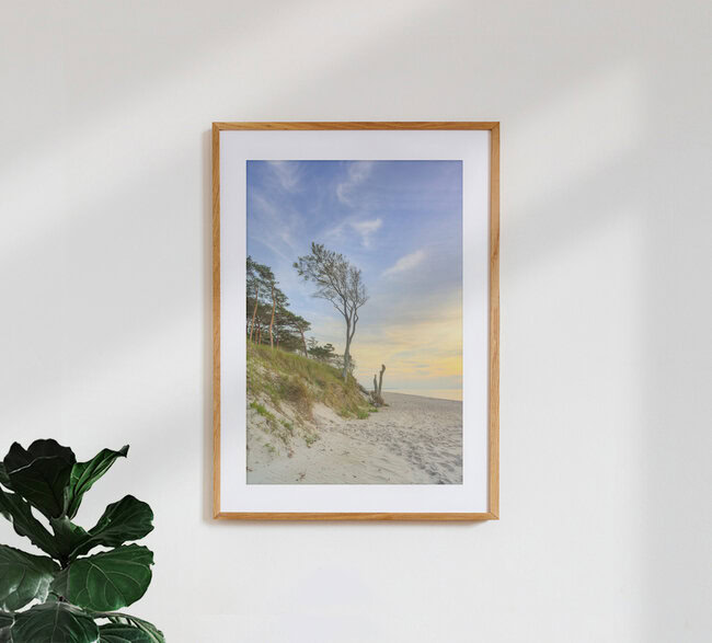 Abends an der Darßer Westküste, Deutschland – Fotokunst von Michael Valjak als Poster oder Acrylglasbild
