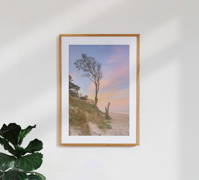 Baum am Darßer Weststrand, Deutschland – Fotokunst von Michael Valjak als Poster oder Acrylglasbild