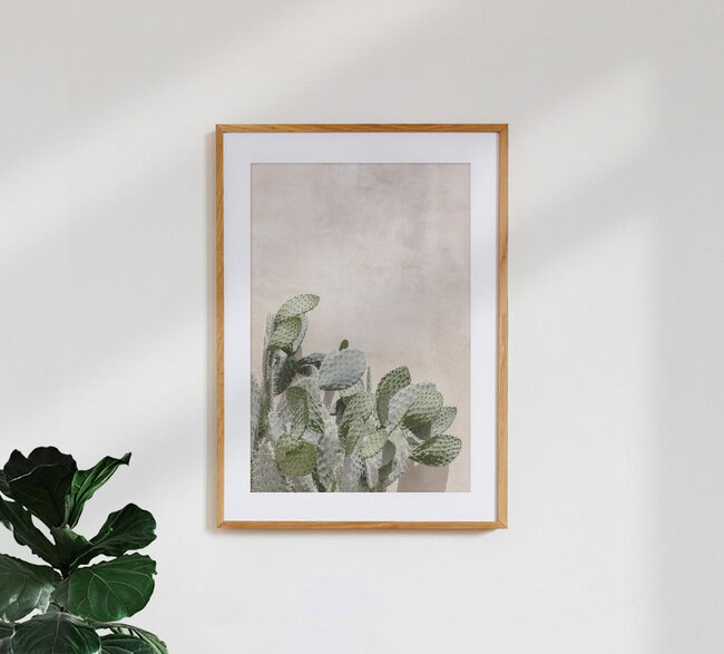 Cactus on the wall, Italien – Fotokunst von Photolovers . als Poster oder Acrylglasbild