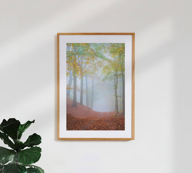 Waldweg im Nebel, Deutschland – Fotokunst von Martin Wasilewski als Poster oder Acrylglasbild