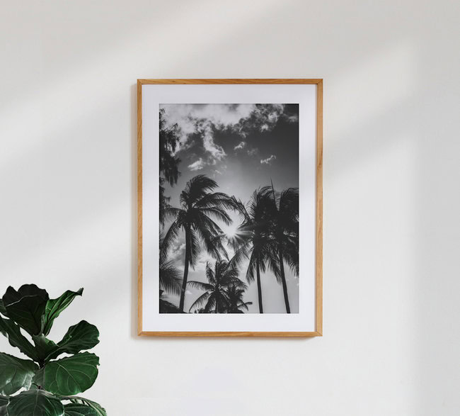 Palm trees in backlight, Tanzania – wall art by Anke Dörschlen as Poster or Acrylic Glass Print