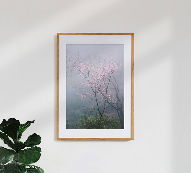 Spring blossoms in China, China – wall art by Victoria Knobloch as Poster or Acrylic Glass Print