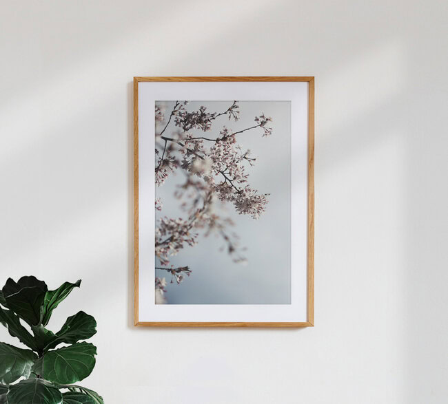 Spring whispers, Germany – wall art by Manuela Deigert as Poster or Acrylic Glass Print