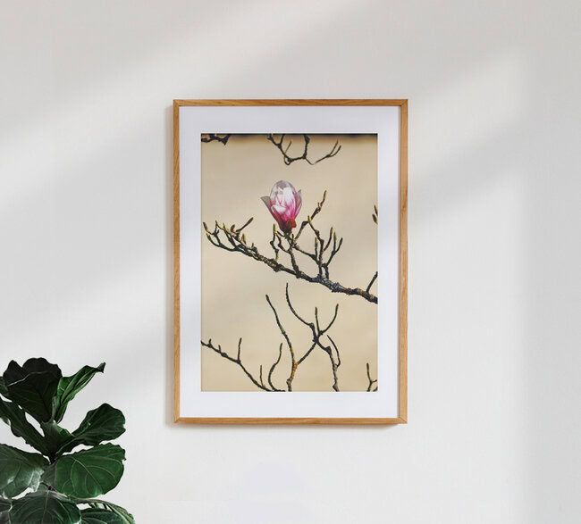 Frühlingserwachen, Deutschland – Fotokunst von Manuela Deigert als Poster oder Acrylglasbild