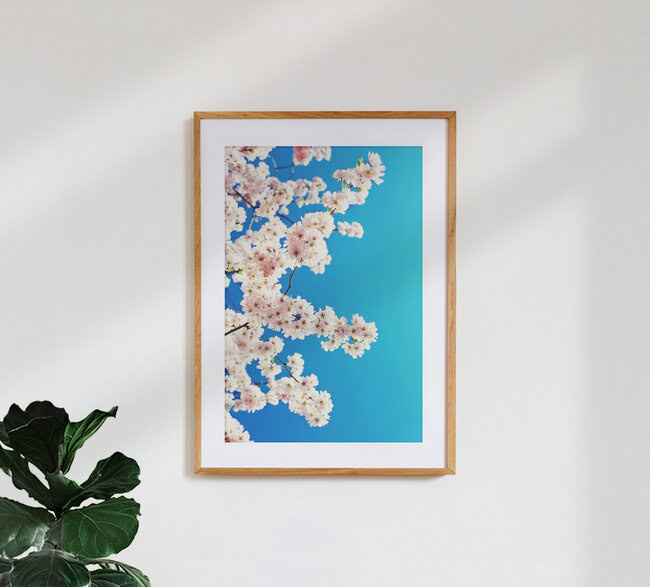 Sky blossoms, Germany – wall art by Manuela Deigert as Poster or Acrylic Glass Print