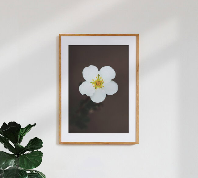 Wide open, Germany – wall art by Manuela Deigert as Poster or Acrylic Glass Print