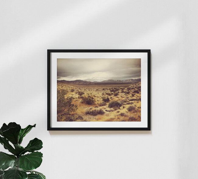 Desert #8, Vereinigte Staaten – Fotokunst von Michael Brandone als Poster oder Acrylglasbild
