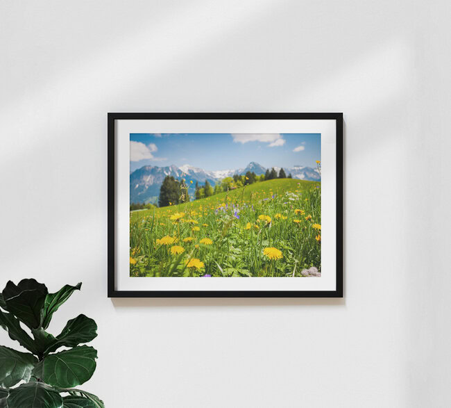 Im Allgäu, Austria – wall art by Johann Oswald as Poster or Acrylic Glass Print