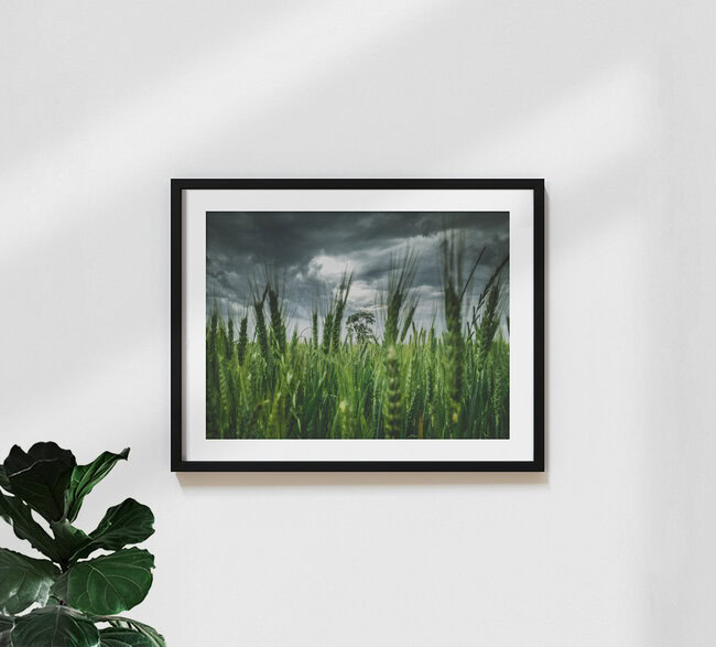 The Storm, United States – wall art by Greg Hogan as Poster or Acrylic Glass Print