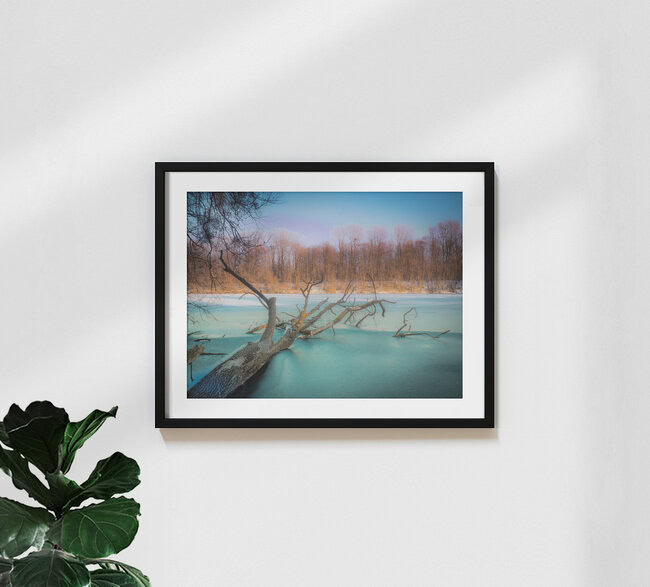 Winter am See, Deutschland – Fotokunst von Harald Tüchler als Poster oder Acrylglasbild
