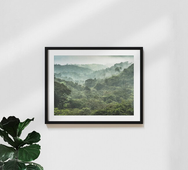 Der Nebelwald von Monteverde 2, Costa Rica – Fotokunst von Johann Oswald als Poster oder Acrylglasbild