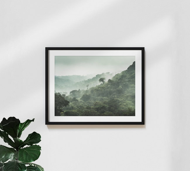 Der Nebelwald von Monteverde 3, Costa Rica – wall art by Johann Oswald as Poster or Acrylic Glass Print