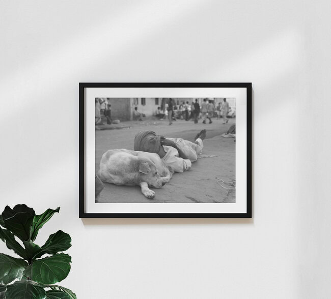 Pillow, Indien – Fotokunst von Jagdev Singh als Poster oder Acrylglasbild