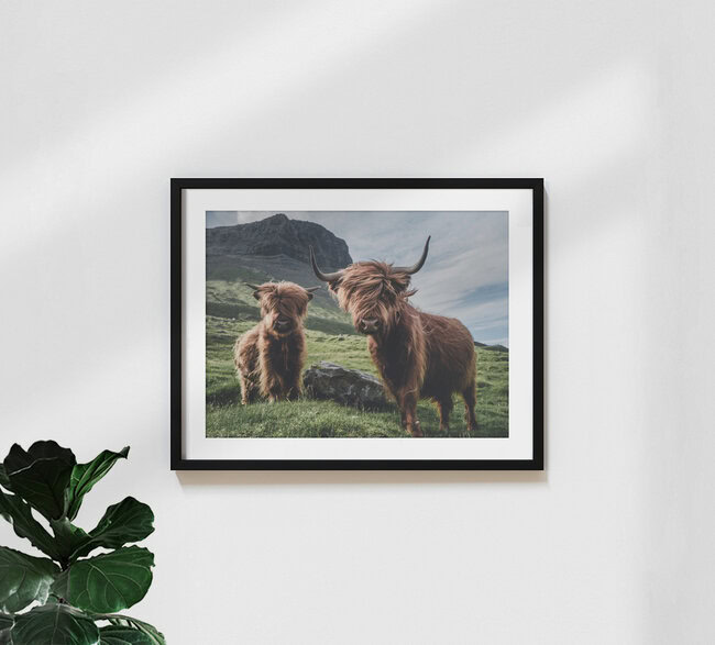 Die heimlichen Könige der Färoer., Färöer Inseln – Fotokunst von Dominic Lars als Poster oder Acrylglasbild