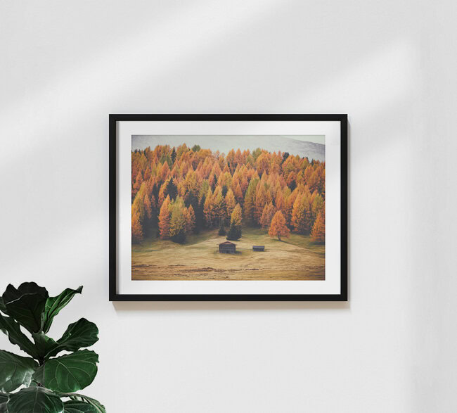 Army Of Larches, Italy – wall art by Gergo Kazsimer as Poster or Acrylic Glass Print