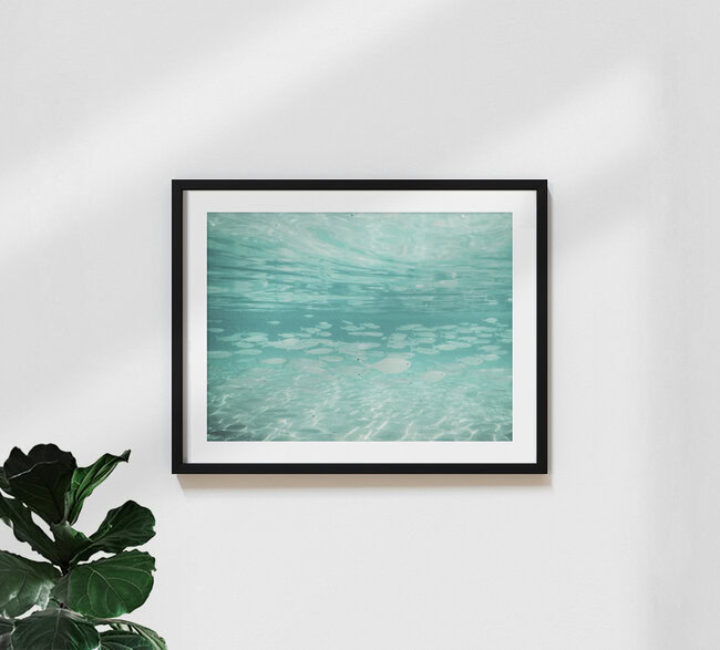 Fische schwimmen im Mittelmeer, Spanien – Fotokunst von Nadja Jacke als Poster oder Acrylglasbild