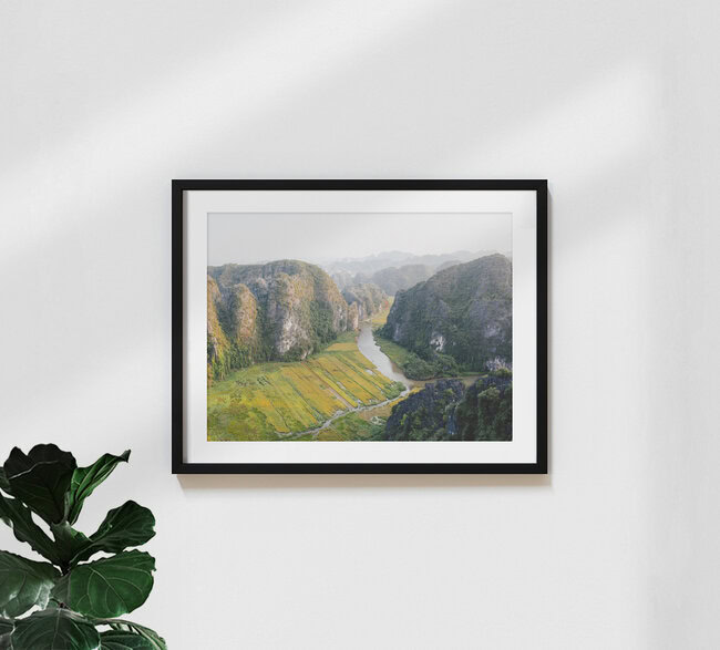 The Rice Fields of Ninh Binh // Vietnam, Vietnam – wall art by Manuel Gros as Poster or Acrylic Glass Print