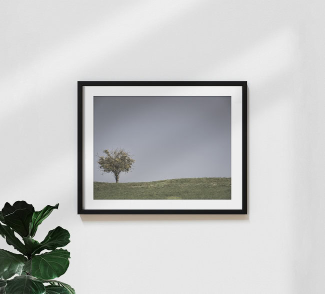 ein Baum in der Wiese, Österreich – Fotokunst von Bernd Grosseck als Poster oder Acrylglasbild