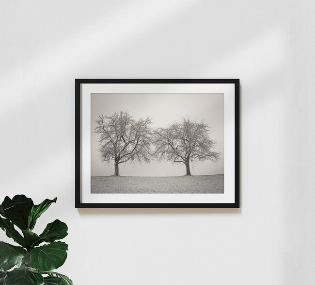 Zwei Winterbäume, Österreich – Fotokunst von Bernd Grosseck als Poster oder Acrylglasbild