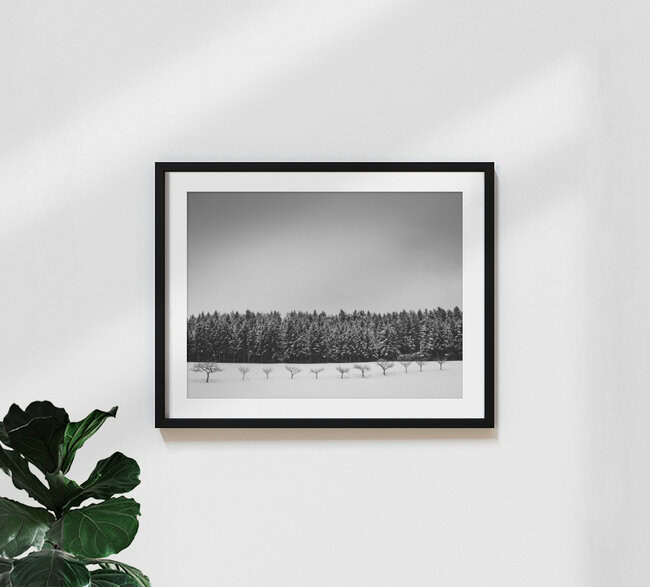 Baumreihe im Winter, Österreich – Fotokunst von Bernd Grosseck als Poster oder Acrylglasbild
